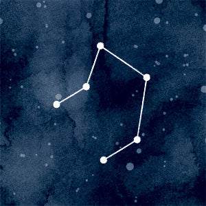 Libra Constellation Cochlear Nucleus 6 Skin